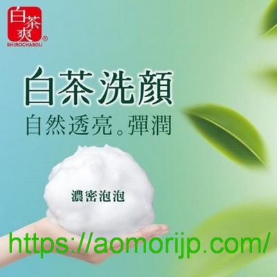 Sữa rửa mặt trà xanh Rohto Shirochasou Green Tea Foam 120g